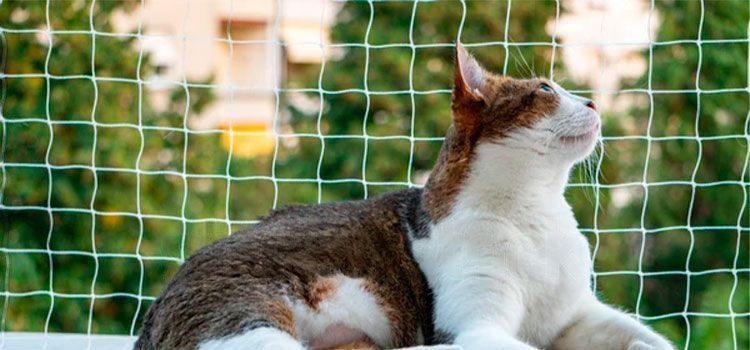 Redes de Proteção para Animais